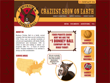 Tablet Screenshot of donkeyball.com